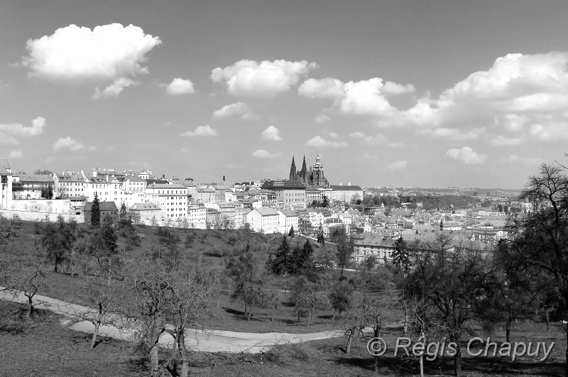 Pragues (9).jpg